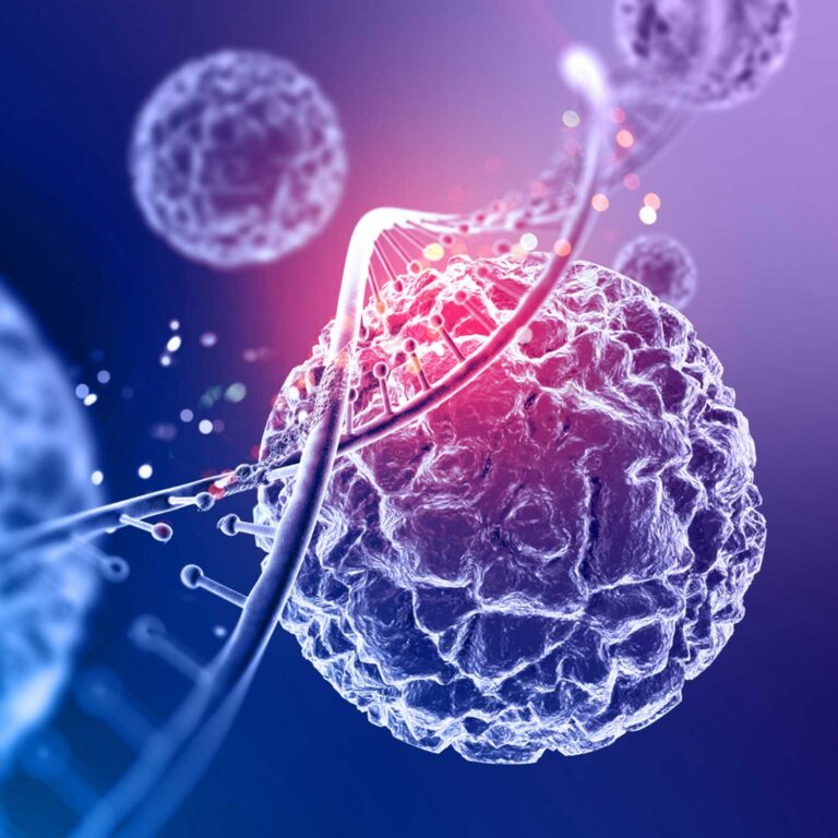 ONCOLOGY & CANCER RESEARCH – Nanografi Life Science